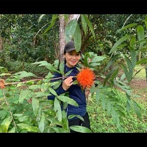 Meet your Posher, Qin